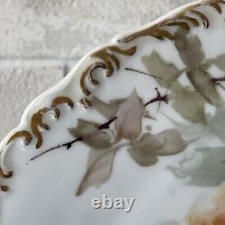 Gorgeous T & V Limoges France Hand painted Rose Plate