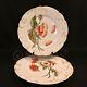 H&co Limoges Haviland & Co 2 Cabinet Plates Poppies & Mums Hand Painted Ams 1891