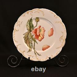 H&Co Limoges Haviland & Co 2 Cabinet Plates Poppies & Mums Hand Painted AMS 1891