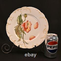 H&Co Limoges Haviland & Co 2 Cabinet Plates Poppies & Mums Hand Painted AMS 1891