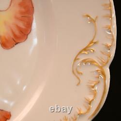 H&Co Limoges Haviland & Co 2 Cabinet Plates Poppies & Mums Hand Painted AMS 1891