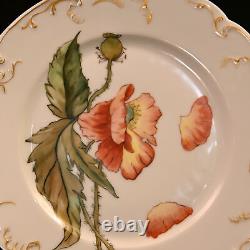 H&Co Limoges Haviland & Co 2 Cabinet Plates Poppies & Mums Hand Painted AMS 1891