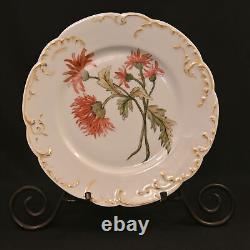 H&Co Limoges Haviland & Co 2 Cabinet Plates Poppies & Mums Hand Painted AMS 1891