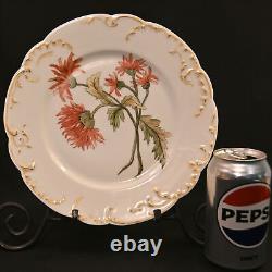 H&Co Limoges Haviland & Co 2 Cabinet Plates Poppies & Mums Hand Painted AMS 1891