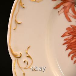 H&Co Limoges Haviland & Co 2 Cabinet Plates Poppies & Mums Hand Painted AMS 1891