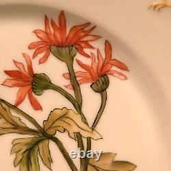 H&Co Limoges Haviland & Co 2 Cabinet Plates Poppies & Mums Hand Painted AMS 1891