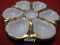 Hand Painted Haviland Limoges Oyster Plate