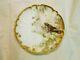 Hand Painted Haviland Limoges Plate Signed Franz A Bischoff Bird Gold Bees