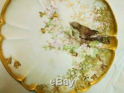 Hand Painted Haviland Limoges Plate Signed FRANZ A BISCHOFF Bird Gold Bees