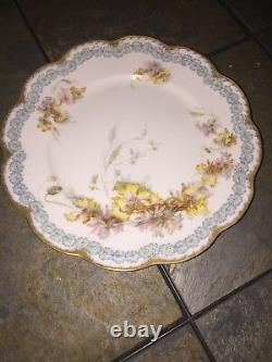 Haviland H&Co L France Limoges Antique Serving Plate Hand Painted FLORAL? M17