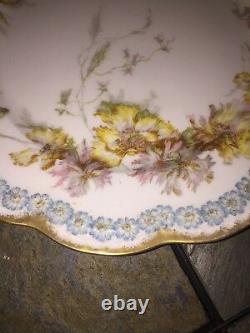 Haviland H&Co L France Limoges Antique Serving Plate Hand Painted FLORAL? M17