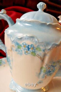 Haviland Limoges 27 pc HAND PAINTED'Forget Me Nots' Lunchon Set (Star No. 5)