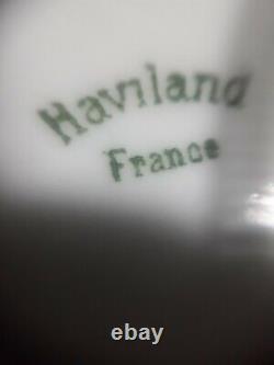 Haviland Limoges France Hand Painted Signed 13 7/8 Inch Plate/charger