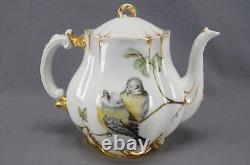 Haviland Limoges Hand Painted Fairy in Spiderweb & Finches Teapot C. 1876 1889