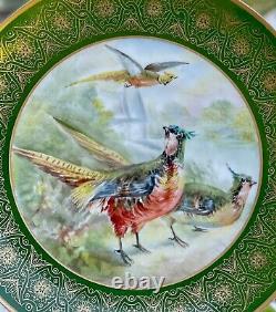 Haviland Limoges Pair Hand Painted Plates Birds Decor