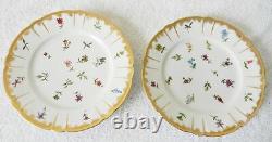 Haviland Limoges set of five hand painted plates flowers circa 1889