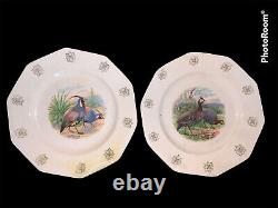 LIMOGES 14 Platter & 4 MINTONE 9.5 Plates RK Beck Transfer Pre-1892 Birds READ