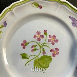 LOT (10 pc) Vintage Longchamp Mon Jardin Hand painted Plates, Limoges France