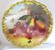 Ls&s Limoges Hand Painted Signed C. Bec Fruit & Gold Rim 12 Charger/wall Art