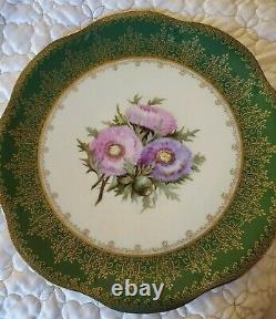 Large Limoges Charger Hand Painted Pink Violet Asters Green Wide Border