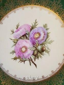 Large Limoges Charger Hand Painted Pink Violet Asters Green Wide Border