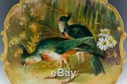 Limoges 15-3/4 Hand Painted Game Bird Artist Signed Charger Plaque Plate