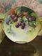 Limoges Coiffe France Hand Painted Cake Charger Plate Grape Signed E. Bourke 12