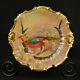 Limoges Coronet Coiffe Plate Hand Painted Sena Golden Pheasant Withgold 1906-1914