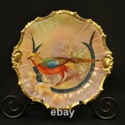 Limoges Coronet Coiffe Plate Hand Painted Sena Golden Pheasant withGold 1906-1914