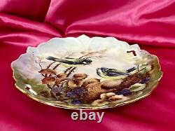 Limoges France Cookie Platter Hand Painted Plate Green Jays Birds in Nest Signed