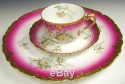 Limoges Hand Painted Roses Trio Plate Tea Cup & Saucer Teacup
