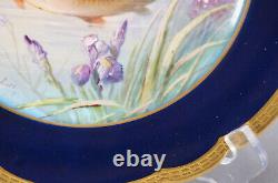 Limoges Hand Painted Signed Luc Cobalt & Gold Border Fish 9 1/2 Inch Plate F