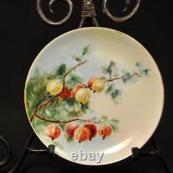 Limoges Haviland & Co 6 Dessert Plates Artist Ware Hanging Fruit 1894-1931 HTF
