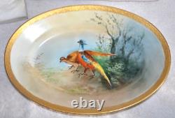 Limoges Plate Pheasant Game Bird Hand Painted Coronet 13.25 X 9.25 SIGNED