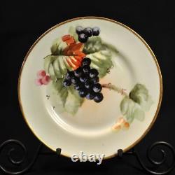 Limoges Plates Set of 4 Hand Painted Grapes withGold La Porcelaine 1905-1930's HTF
