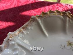 Limoges Platter Victorian Elite Works Large Hand Painted Antique Plate