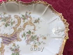 Limoges Platter Victorian Elite Works Large Hand Painted Antique Plate