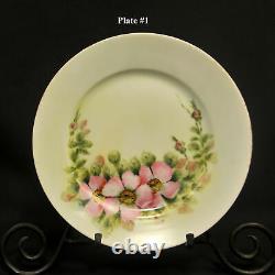 Limoges Theodore Haviland 6 Plates 8 3/4 H V Halley HandPainted Pink Roses 1912