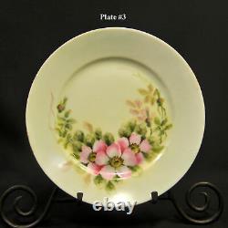 Limoges Theodore Haviland 6 Plates 8 3/4 H V Halley HandPainted Pink Roses 1912