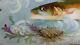 Limoges Fish Service 12 People Hand Painted Circa 1880's Stunning Antique Set