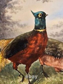 Limoges plate 13 hand painted pheasants/wild life series/see pics/rich earth