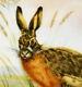 Outstanding Limoges Artist Signed Hand Painted Jack Rabbit Platter