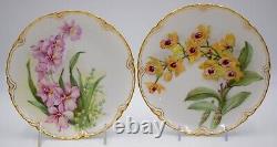 Pair of Haviland Limoge Hand Painted Orchid Cabinet Plates, Circa 1920