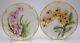 Pair Of Haviland Limoge Hand Painted Orchid Cabinet Plates, Circa 1920