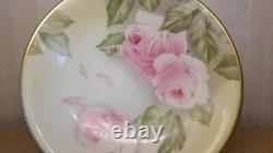 ROSENTHAL Hand Painted LIMOGES PINK ROSES Pedestal Tazza Bowl Cake