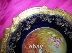 Rare Antique Limoges Bird Cabinet Plate Hand Painted De Solice 9.5