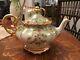 Rosenthal Holly Tea Pot Hand Painted Limoges Like Quality