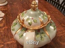 Rosenthal Holly berry Tea pot hand painted