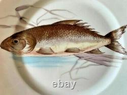 SET of 10-Antique BBD Carlsbad 8.25 Salad Plates Scenic Hand painted Fish NICE