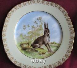 Set 9 LIMOGES antique FRANCE M REDON Game Plates Hand Painted birds boar rabbits
